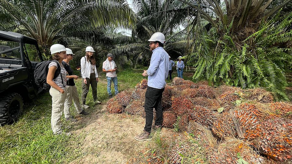 Colombia Field Trip 2025