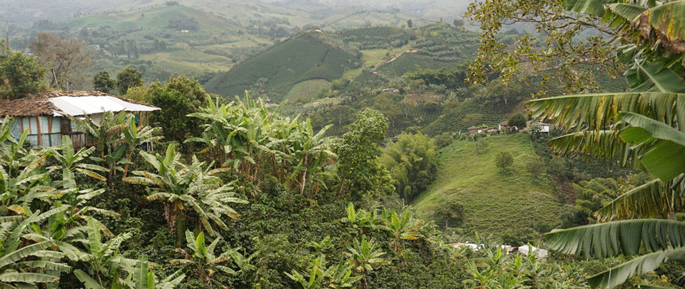 Colombia