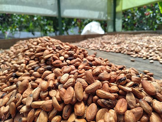 Colombia Field Trip 2025