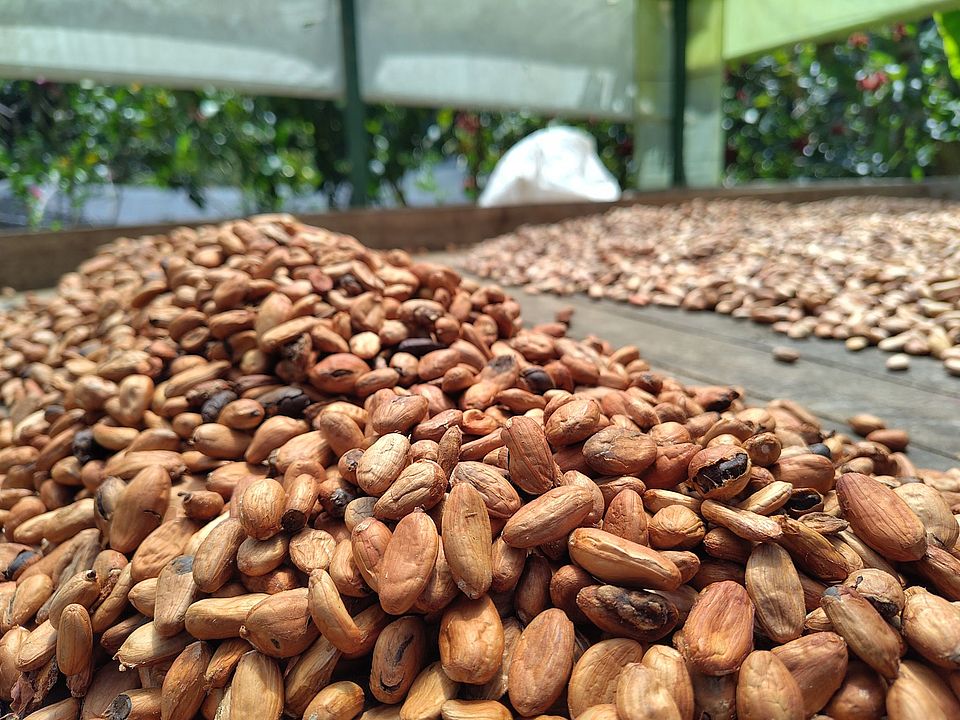 Colombia Field Trip 2025