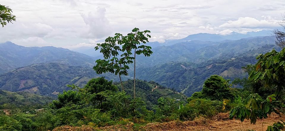 Colombia Field Trip 2025