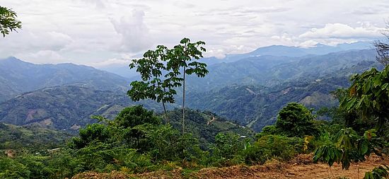 Colombia Field Trip 2025