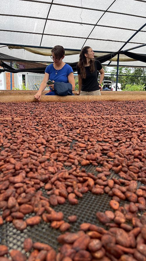 Colombia Field Trip 2025