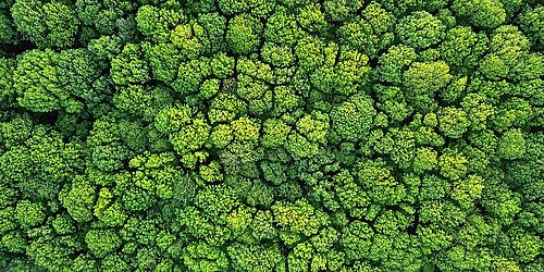 Forschungskolloquium